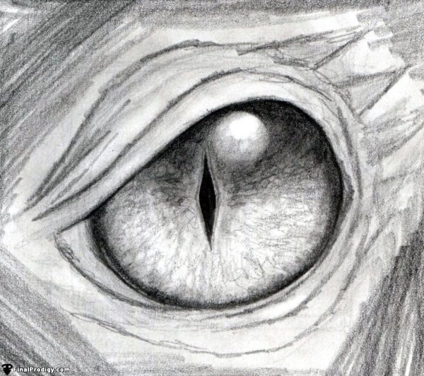 Глаза рисунок