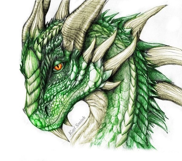 DND молодой зеленый дракон