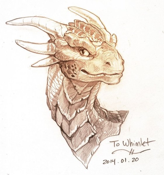 Рисунки голова дракона