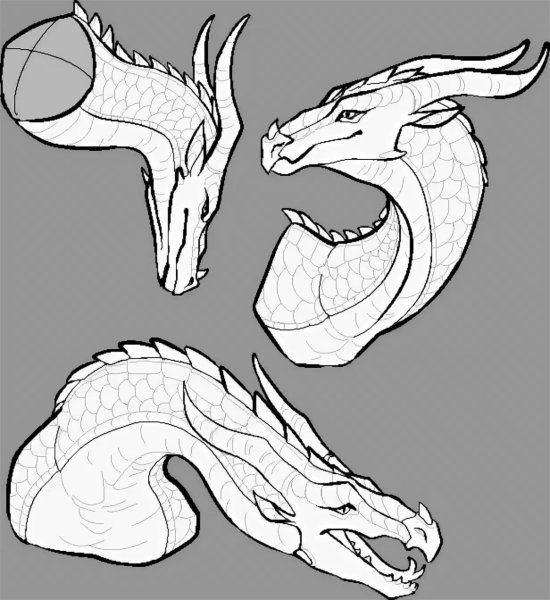 Анатомия дракона референс