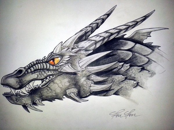 Голова дракона Смауг