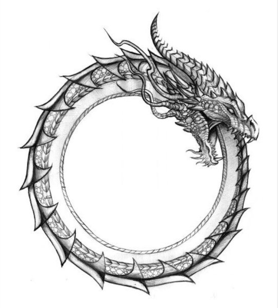 Рисунки голова и хвост дракона