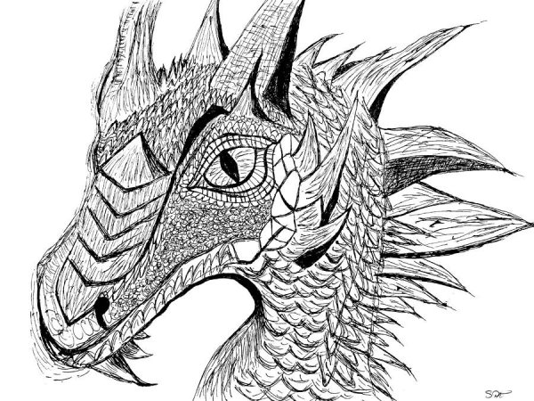 Морда дракона карандашом