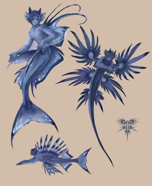Глаукус моллюск голубой дракон