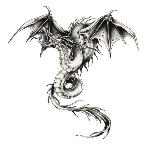 Огнедышащий дракон тату эскиз