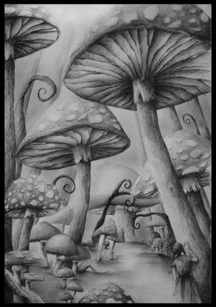 Рисунки гриба из алисы
