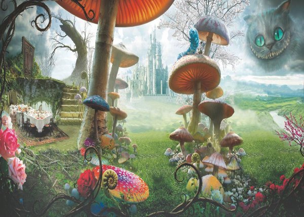 Лес грибов Алиса в стране чудес