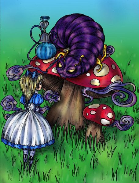 Алиса в стране чудес грибы Чешир