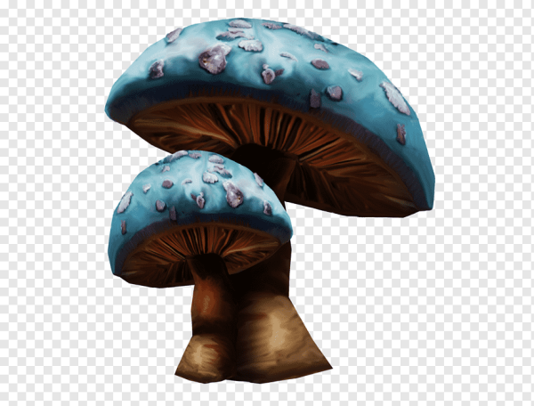 Сказочные грибы из Алисы в стране чудес