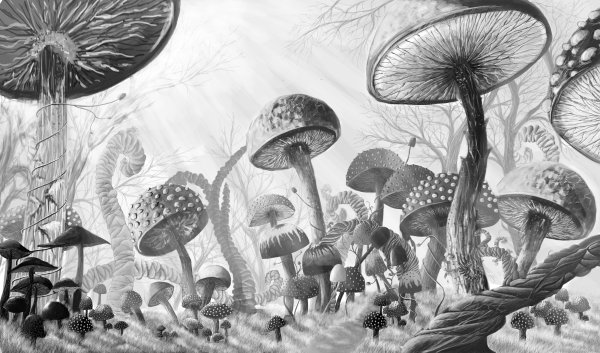 Алиса Бертон фон грибы лес