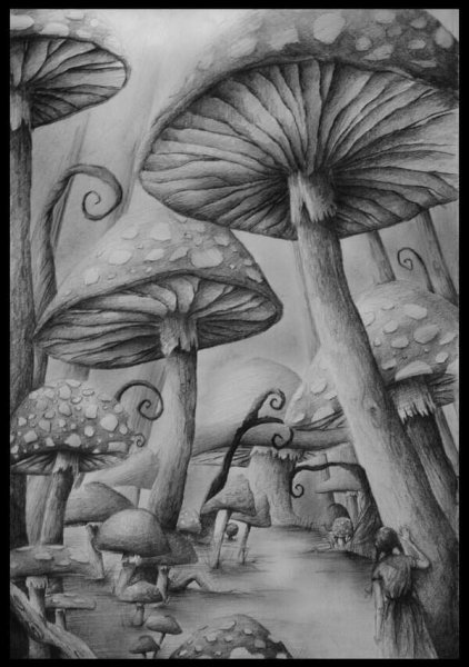 Психоделические грибы