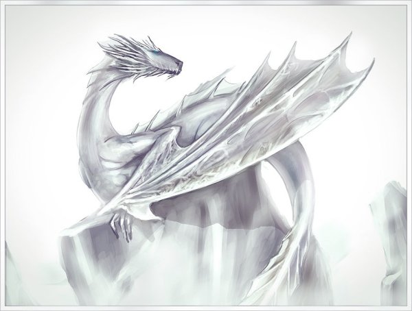 Белый дракон ДНД