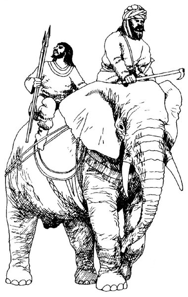 Боевые слоны Индии
