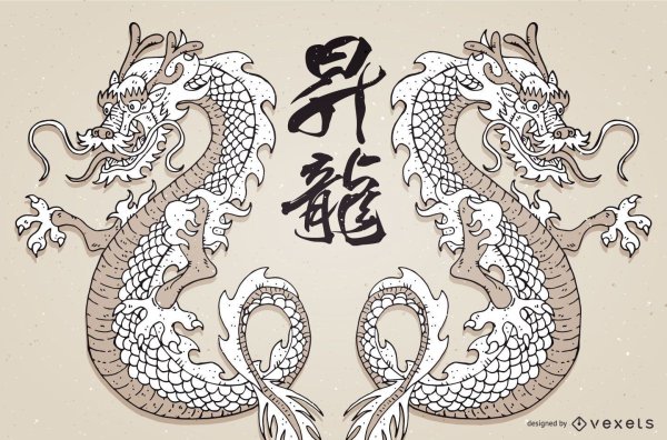 Китайский дракон референс Хаку