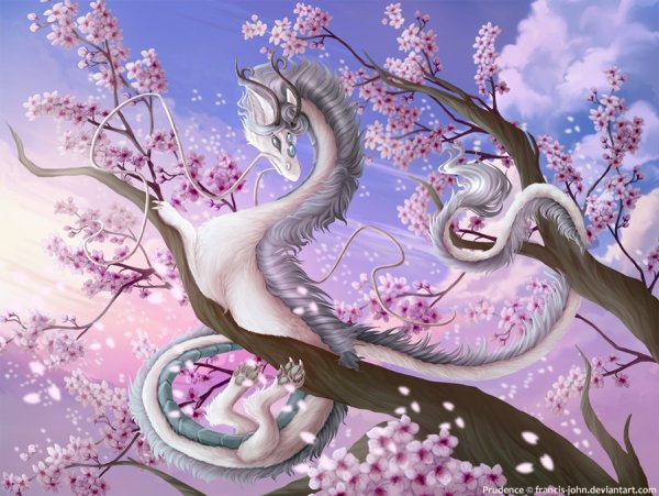 Красивый китайский дракон