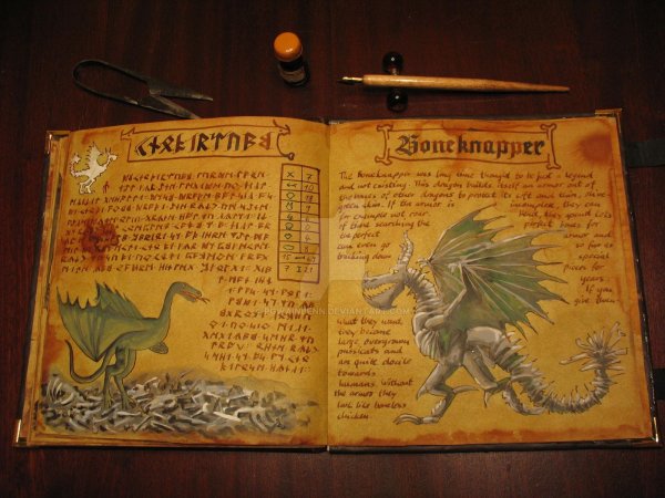 Книга дракона