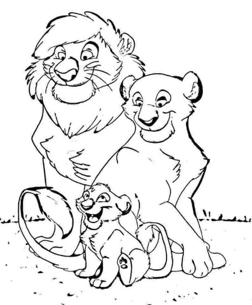Лев и Львенок раскраска для детей