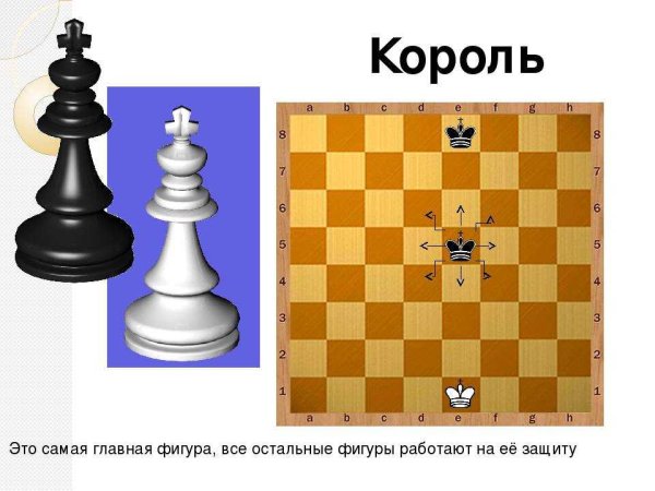 Фигура ферзя и короля в шахматах