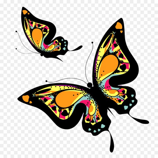 Красивые орнаменты бабочка