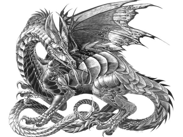 Рисунки королевский дракон