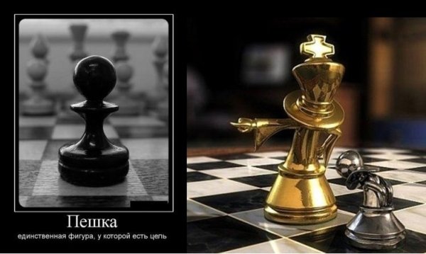 Король в шахматах