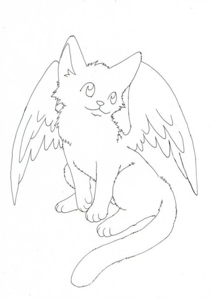 Раскраска коты с крыльями