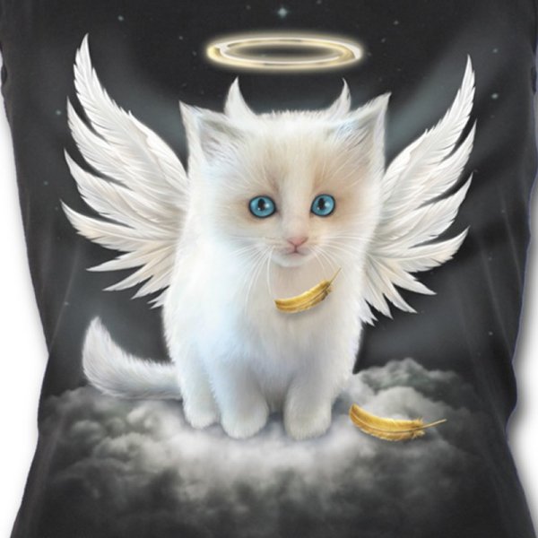 Кошка ангел