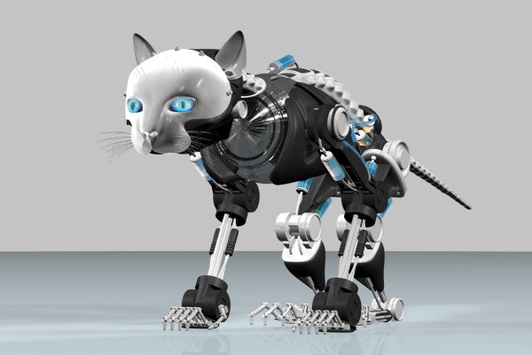 Роботы кошки и собаки