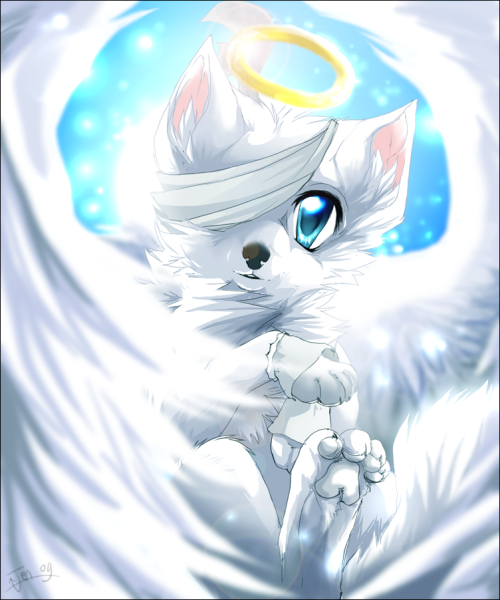 Белый котёнок с крыльями