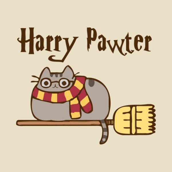Кот в стиле Гарри Поттера