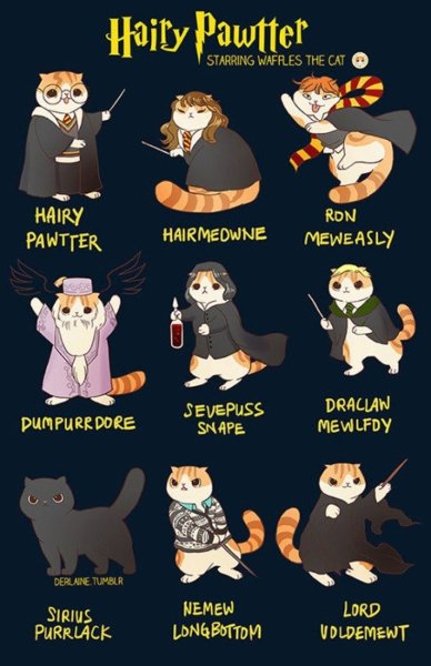 Коты Воители и Гарри Поттер