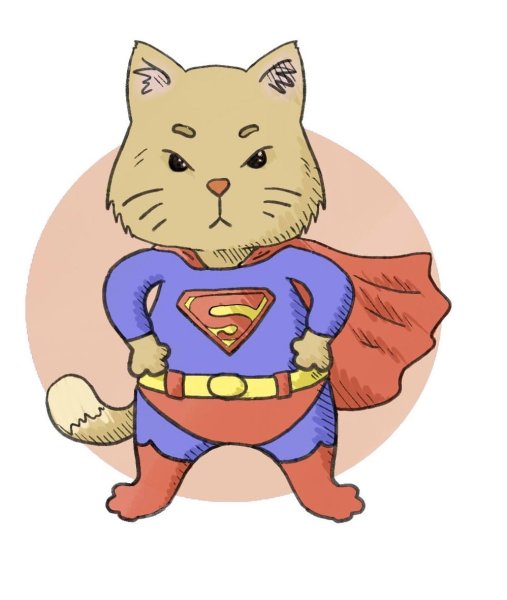 Кот в костюме Супермена