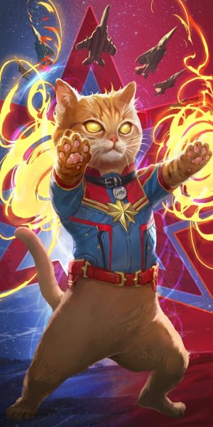 Капитан Марвел кот