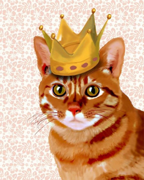 Рисунки кот король