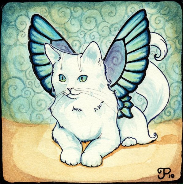 Котик с крыльями бабочки