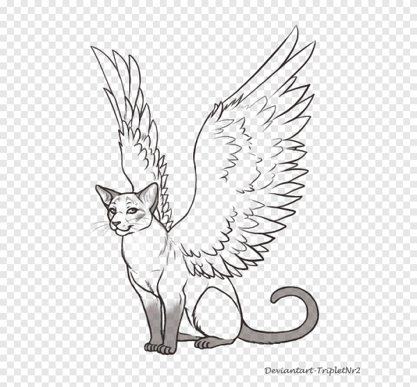 Кошка с крыльями