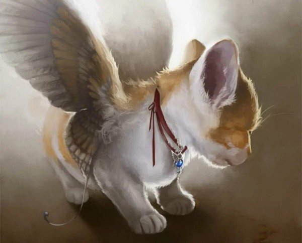Коты с крыльями арт