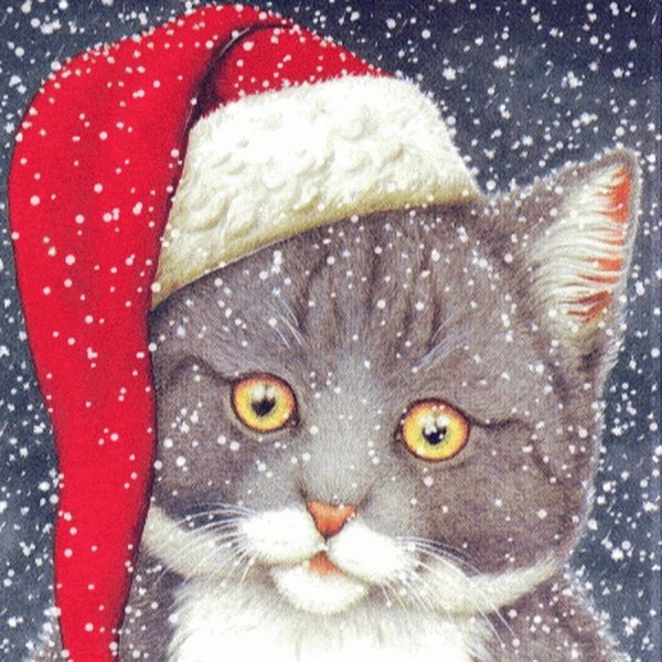 Котенок в шапке Деда Мороза