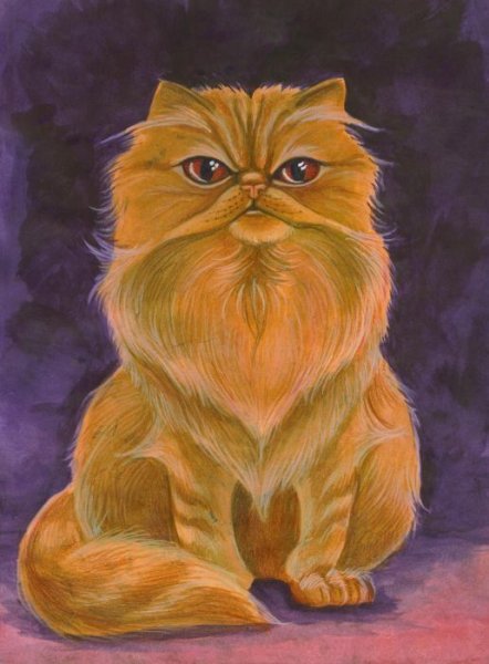 Рисунки котик гарри поттер
