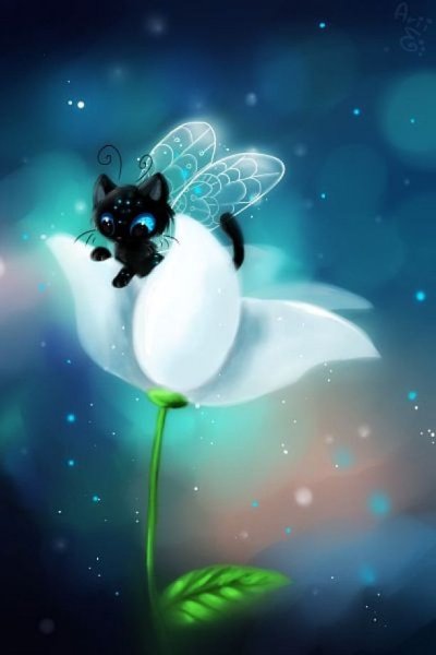 Котик с крыльями бабочки