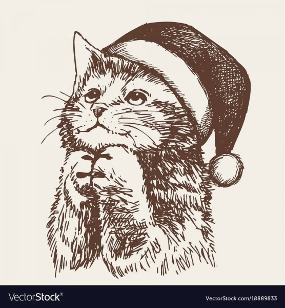 Котенок в новогодней шапке раскраска