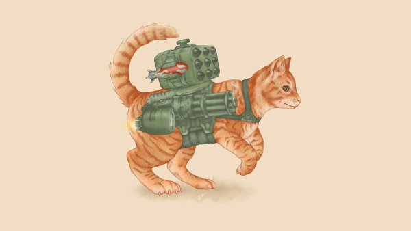 Боевой кот арт