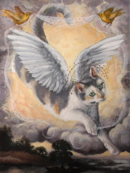 Ангельский кот