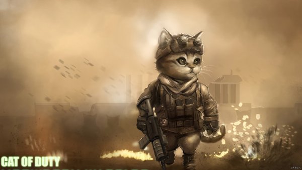Кот в военной форме арт