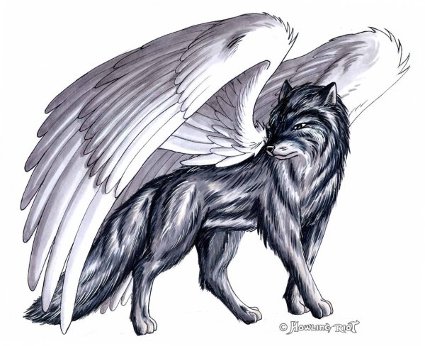 Крылатый волк Семаргл