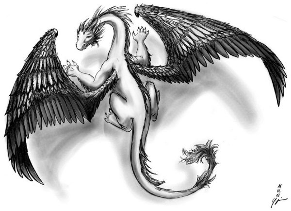 Рисунки крылатый дракон