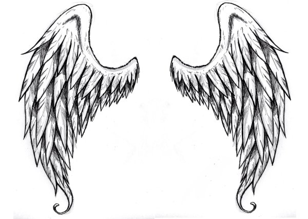 Крылья ангела тату эскиз