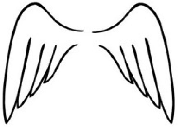 Крылья схематично