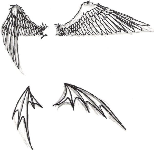Крылья дракона референс сложенные