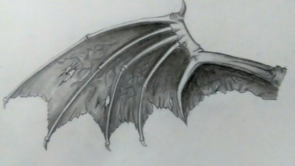 Рисунки крылья демона